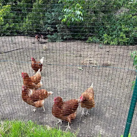 Am Spatzennest 3 Appartement Ummendorf (Borde)