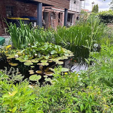 Am Spatzennest 3 アパート Ummendorf (Borde)