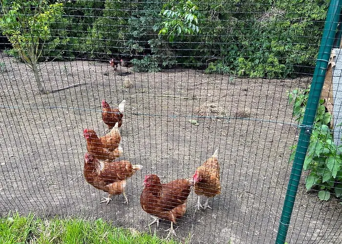 Am Spatzennest 3 Appartement Ummendorf (Borde)