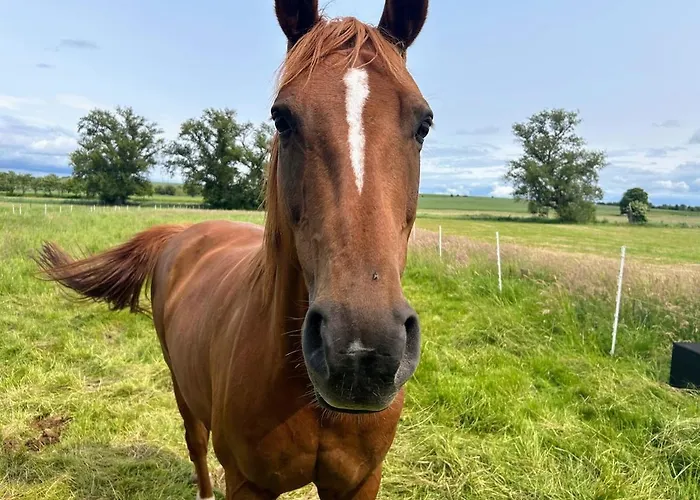 Am Spatzennest 3 アパート *