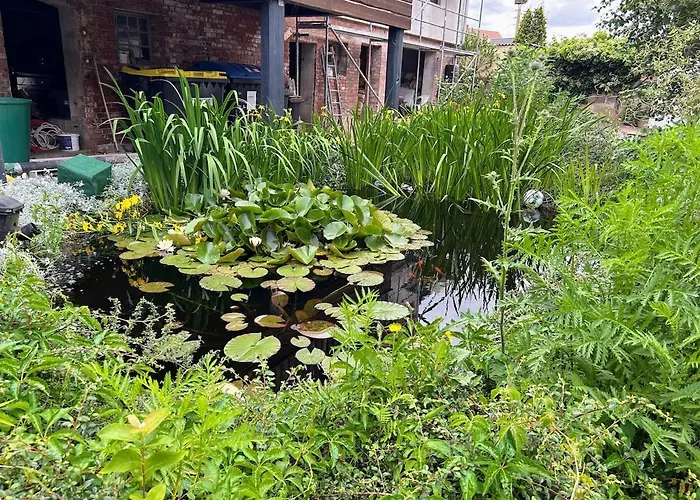 Am Spatzennest 3 アパート Ummendorf (Borde)