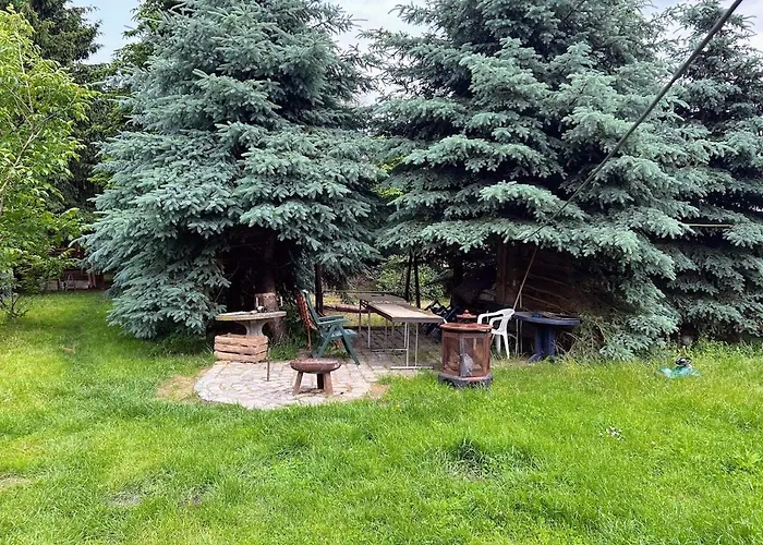 Appartement Am Spatzennest 3 *