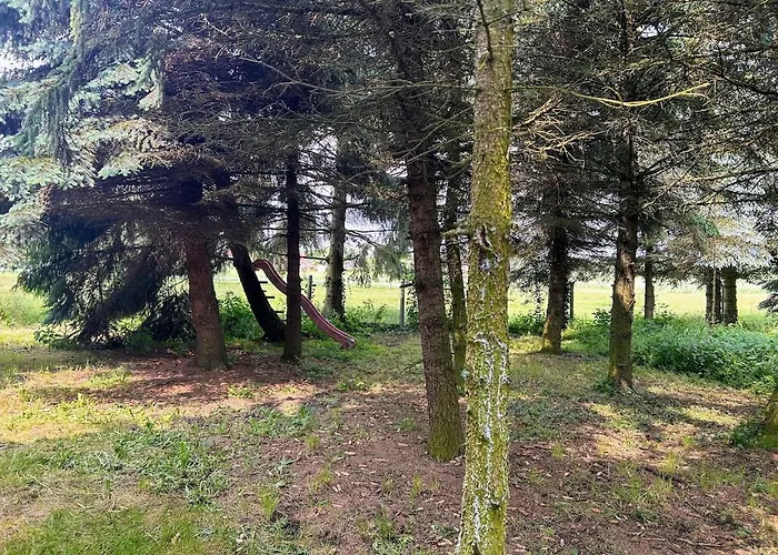 アパート Am Spatzennest 3 *